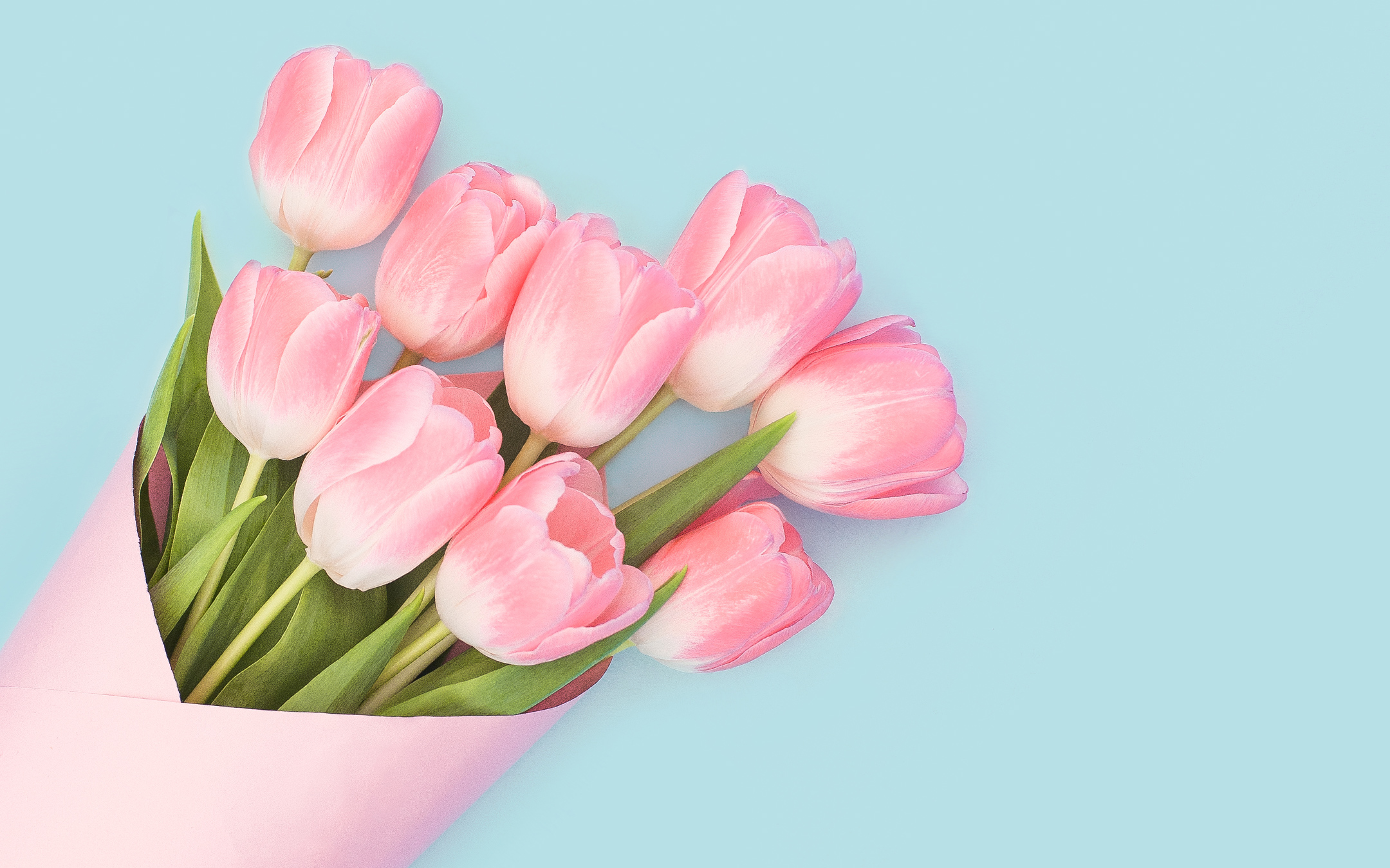 Baby Pink Tulips6341213320